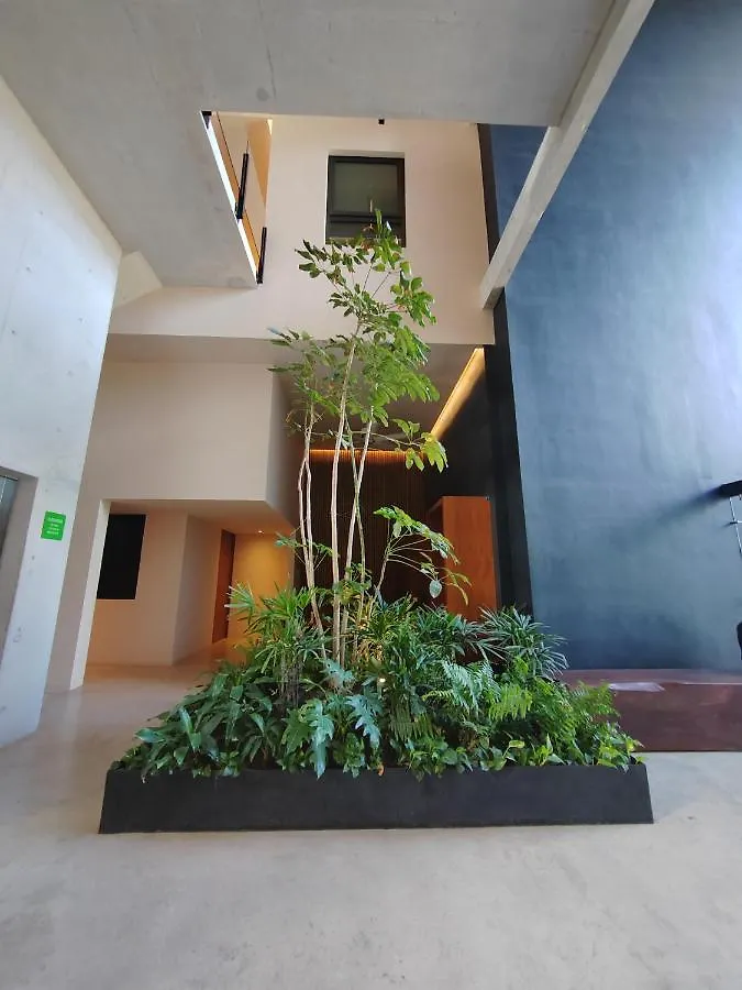 Apartment Incredible & Beautiful Studio Steps From The Beach By Yeah Playa del Carmen Mexico